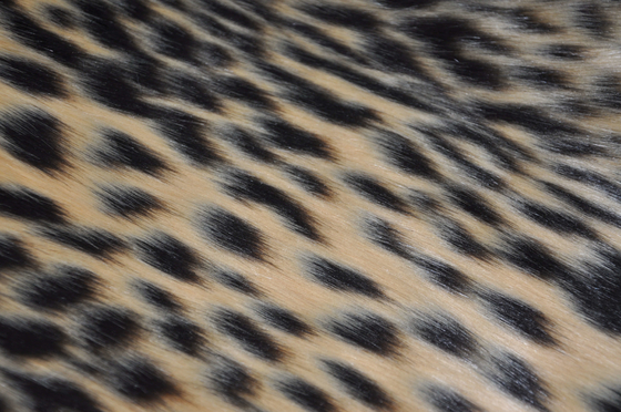 visone acrilico di falsificazione del jacquard della stampa del leopardo del tessuto dai capelli lunghi misto della pelliccia