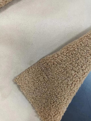 760 grammi Teddy a maglia ricci di tessuto composito di pelliccia con lo stesso colore