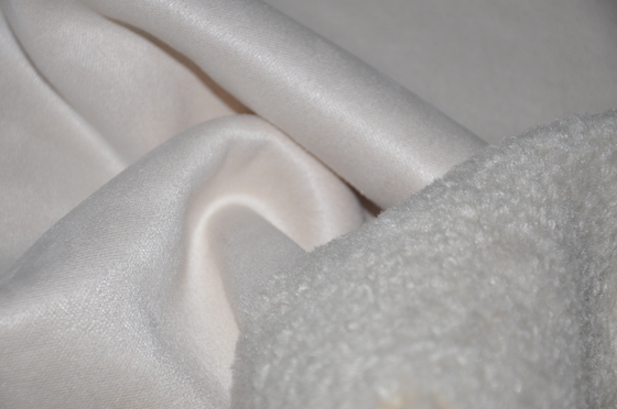 Pelliccia della pelle scamosciata 610gsm di Shu Velveteen Coating Woven Fabric