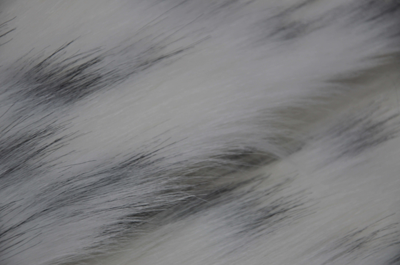 punto nero su un tessuto lungo della pelliccia dei capelli del fondo bianco, tessuto lungo della peluche: La miscela perfetta di comodità e di modo