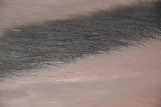 Il colore che si scontra la pelliccia lunga di falsificazione dei capelli del tessuto 150cm della peluche, porta il tocco e la comodità ineguagliabili