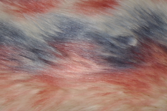 Il Fox falso lungo del tessuto 150cm della pelliccia dei capelli di colori di pendenza tre, fornisce l'ultimi calore e comodità per la decorazione della casa dell'inverno