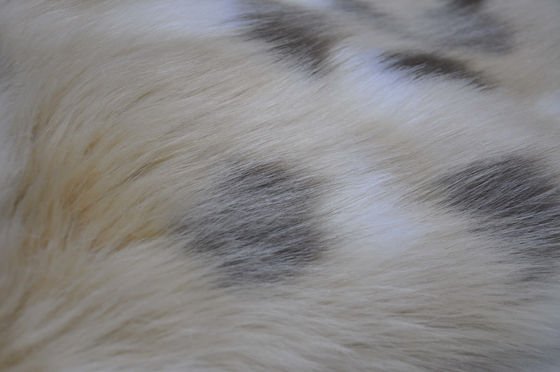 Il tessuto misto della pelliccia di Fox del Faux del jacquard, pelliccia lunga di falsificazione dei capelli di 150cm, crea le progettazioni domestiche uniche della tenda e della decorazione