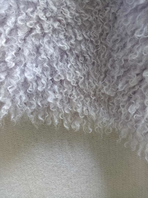 Tessuto di peluche ricci e magliato è morbido e comodo, 100% poliestere