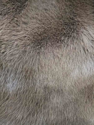 Il pelo di volpe di colore caffè è denso, solido e morbido